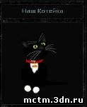 Коте для вашего сайта